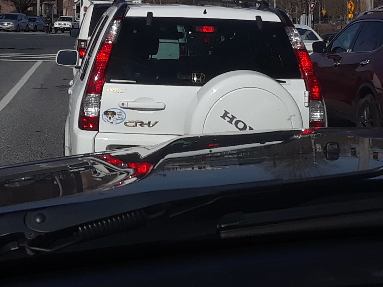 20190327_102037.jpg
