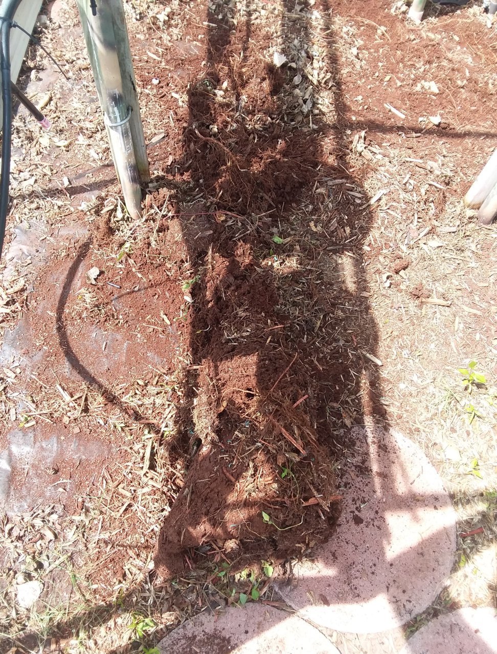 20190327_124006.jpg