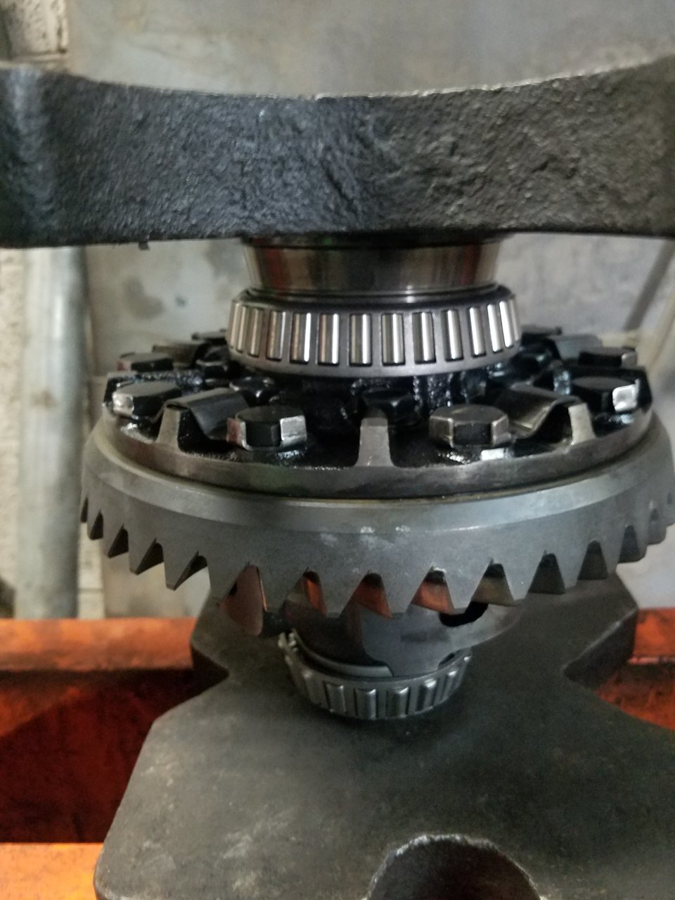 20190327_134532.jpg