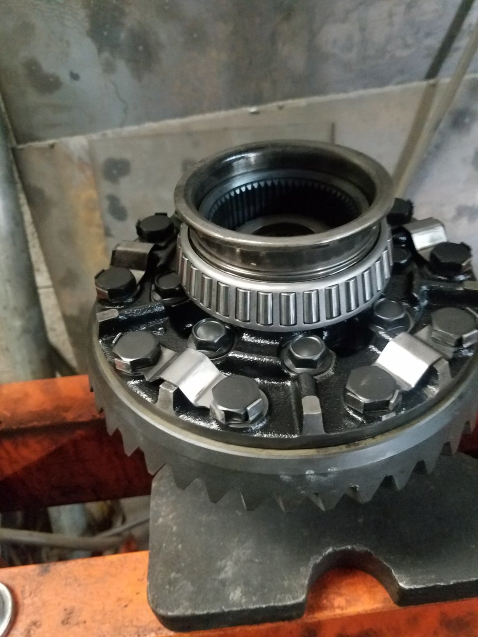 20190327_134543.jpg