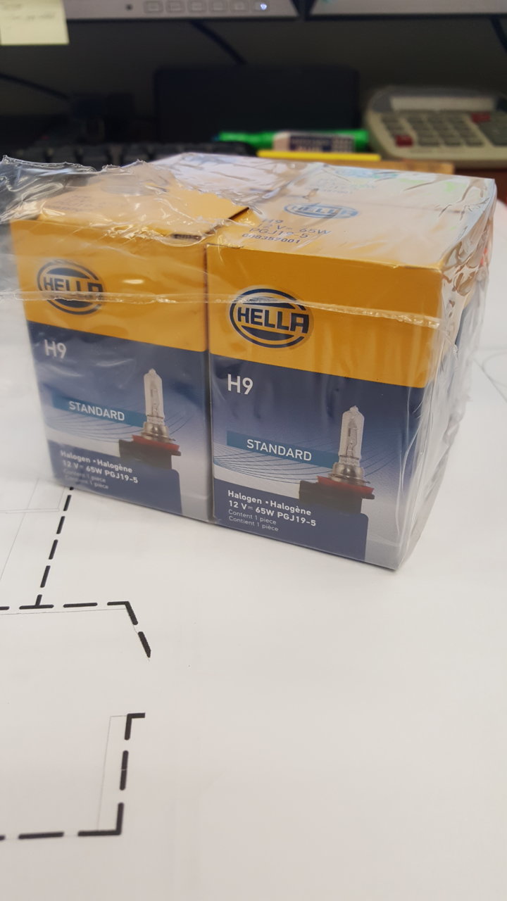 20190327_155225.jpg