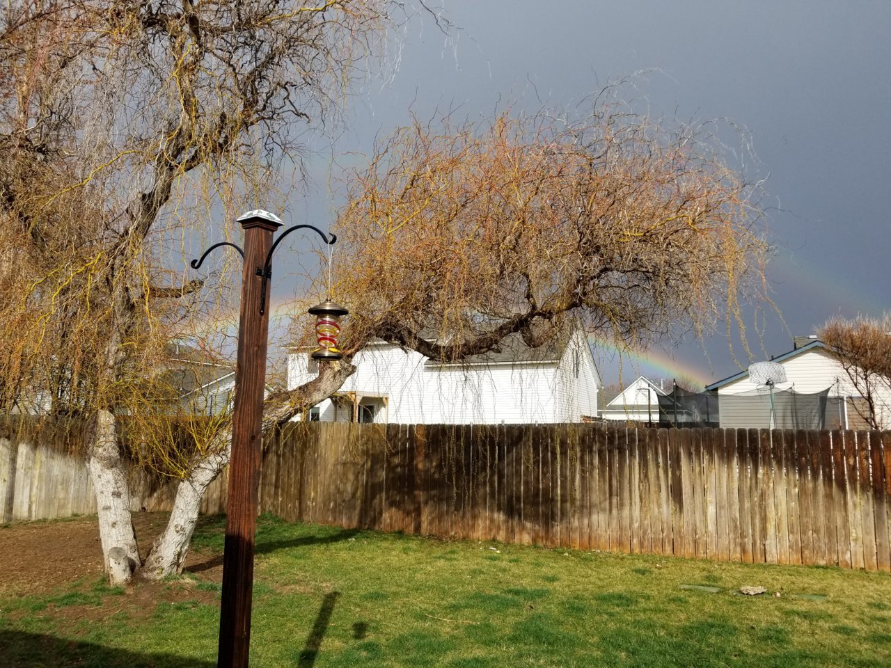 20190327_171034.jpg