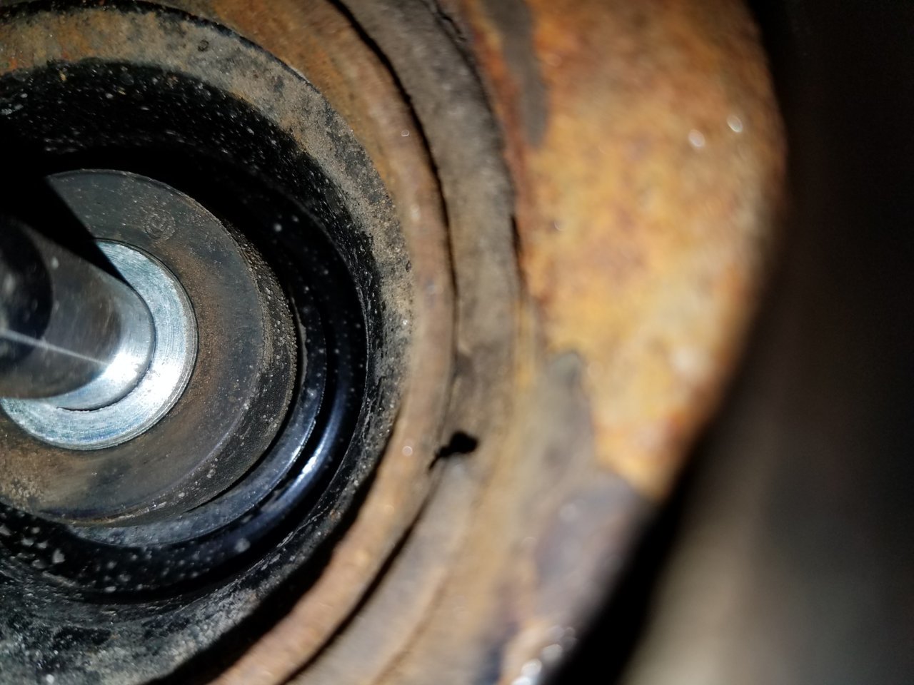 20190327_182057.jpg