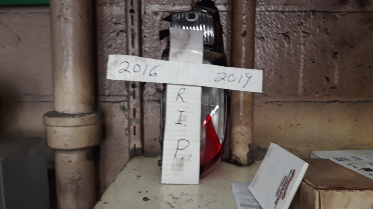 20190328_090146.jpg