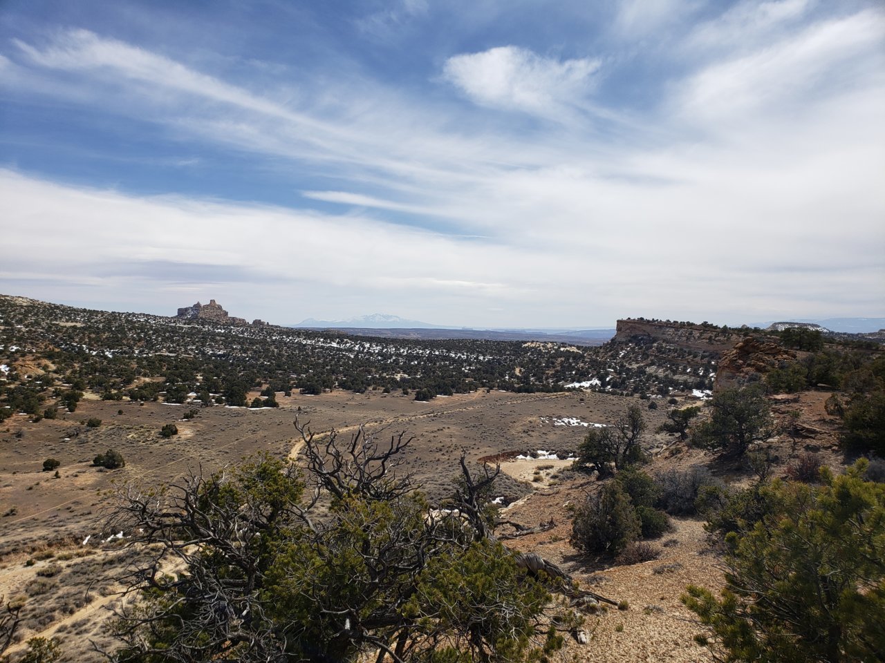 20190328_144832.jpg