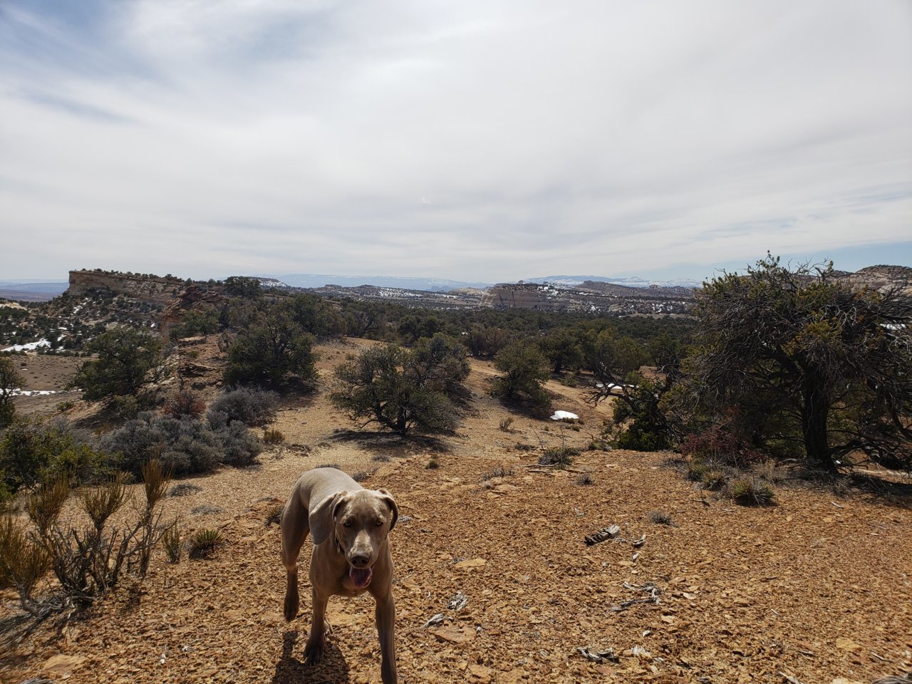 20190328_144848.jpg