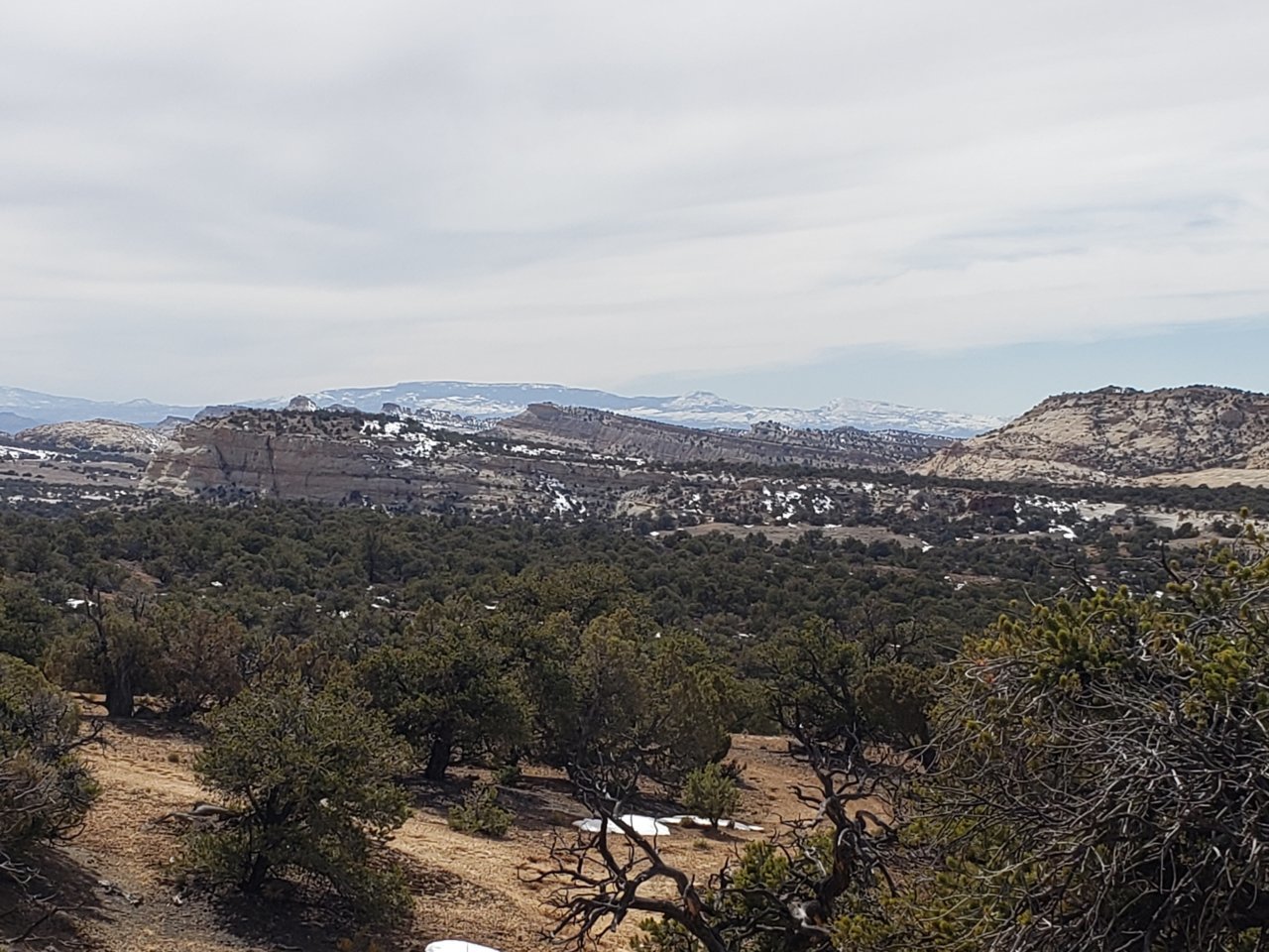 20190328_144856.jpg