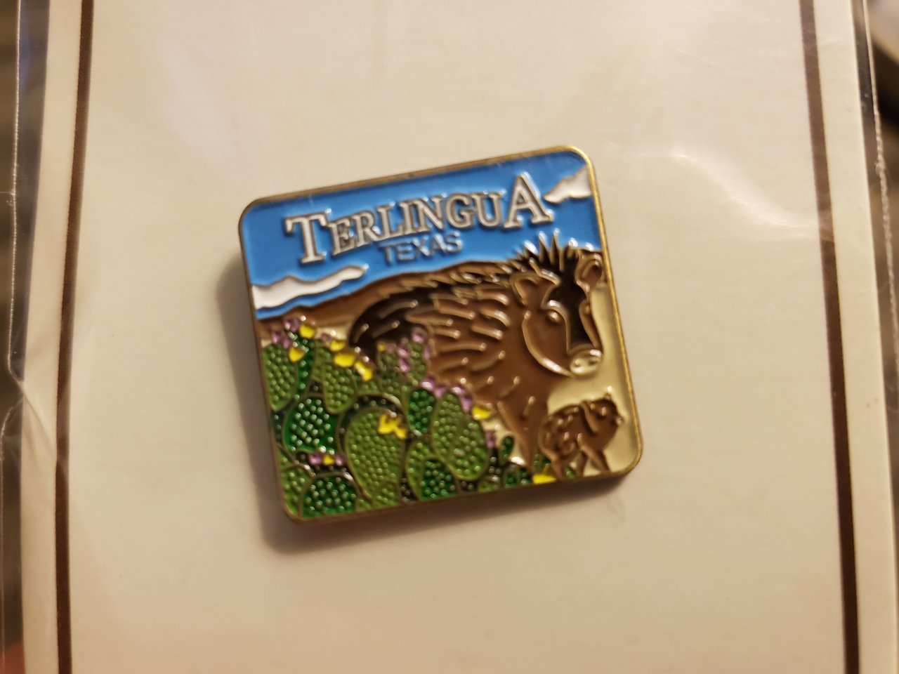20190328_184706.jpg
