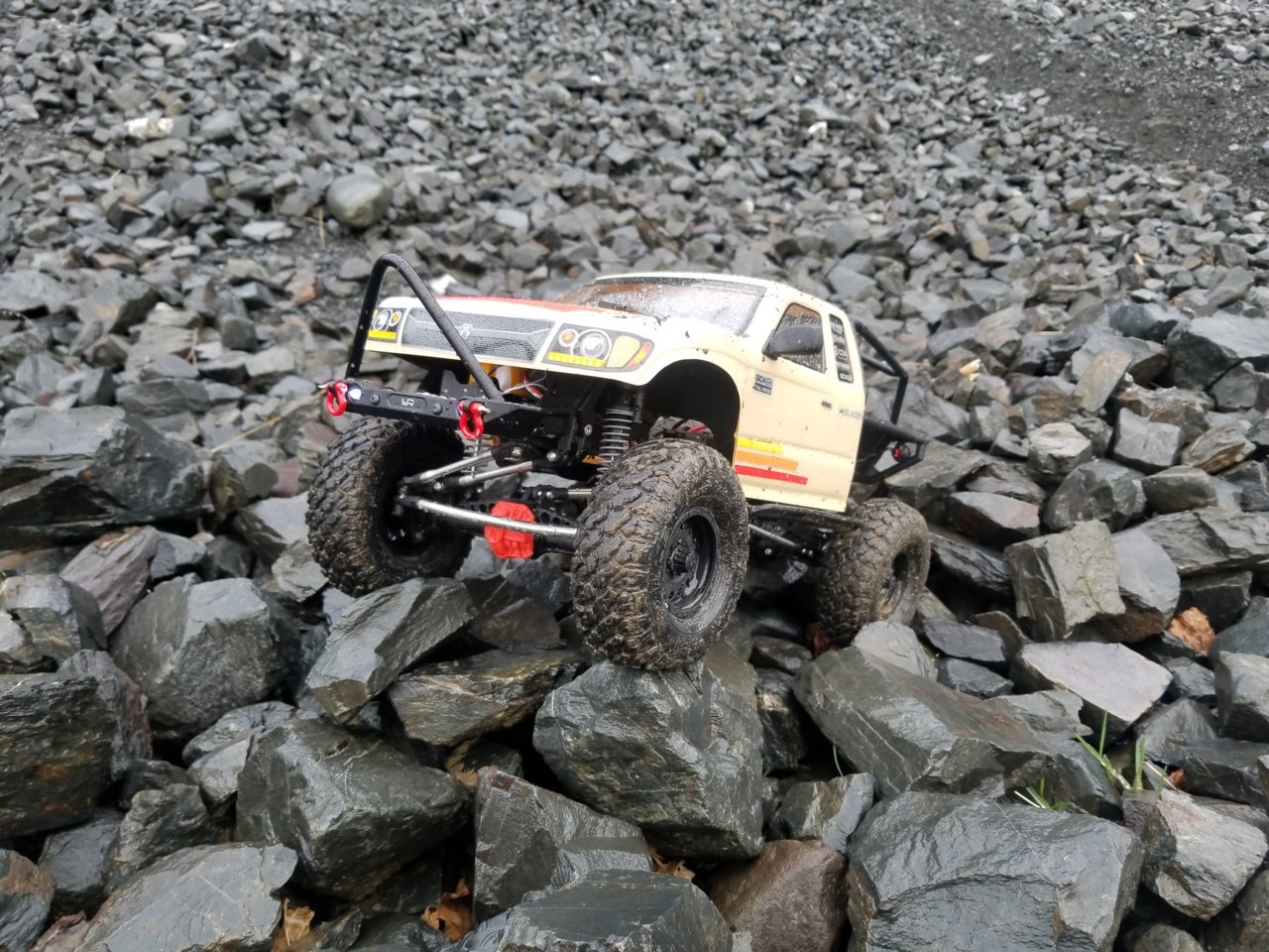 20190329_100255.jpg