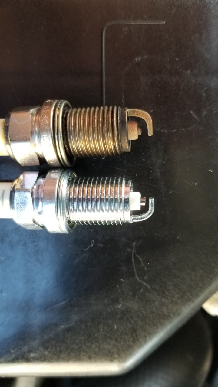 20190329_103148.jpg
