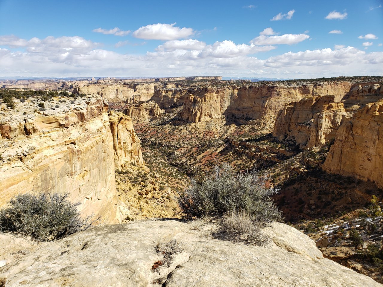 20190329_110936.jpg