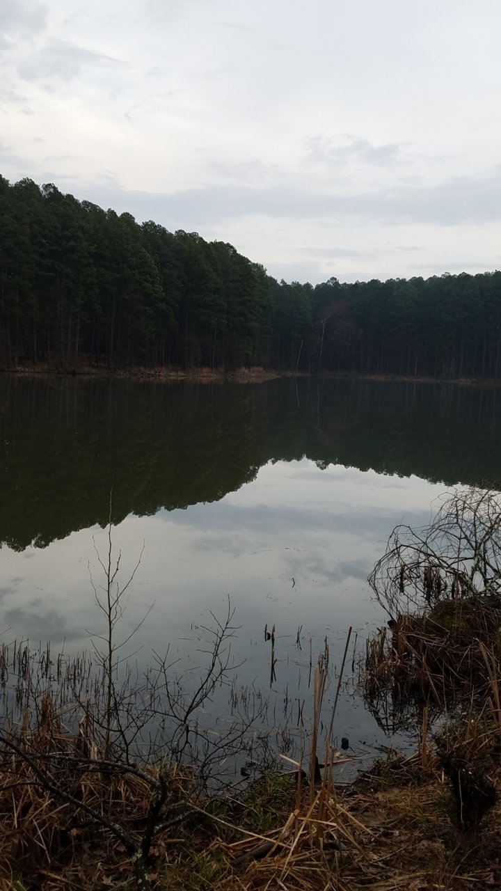 20190329_180124.jpg