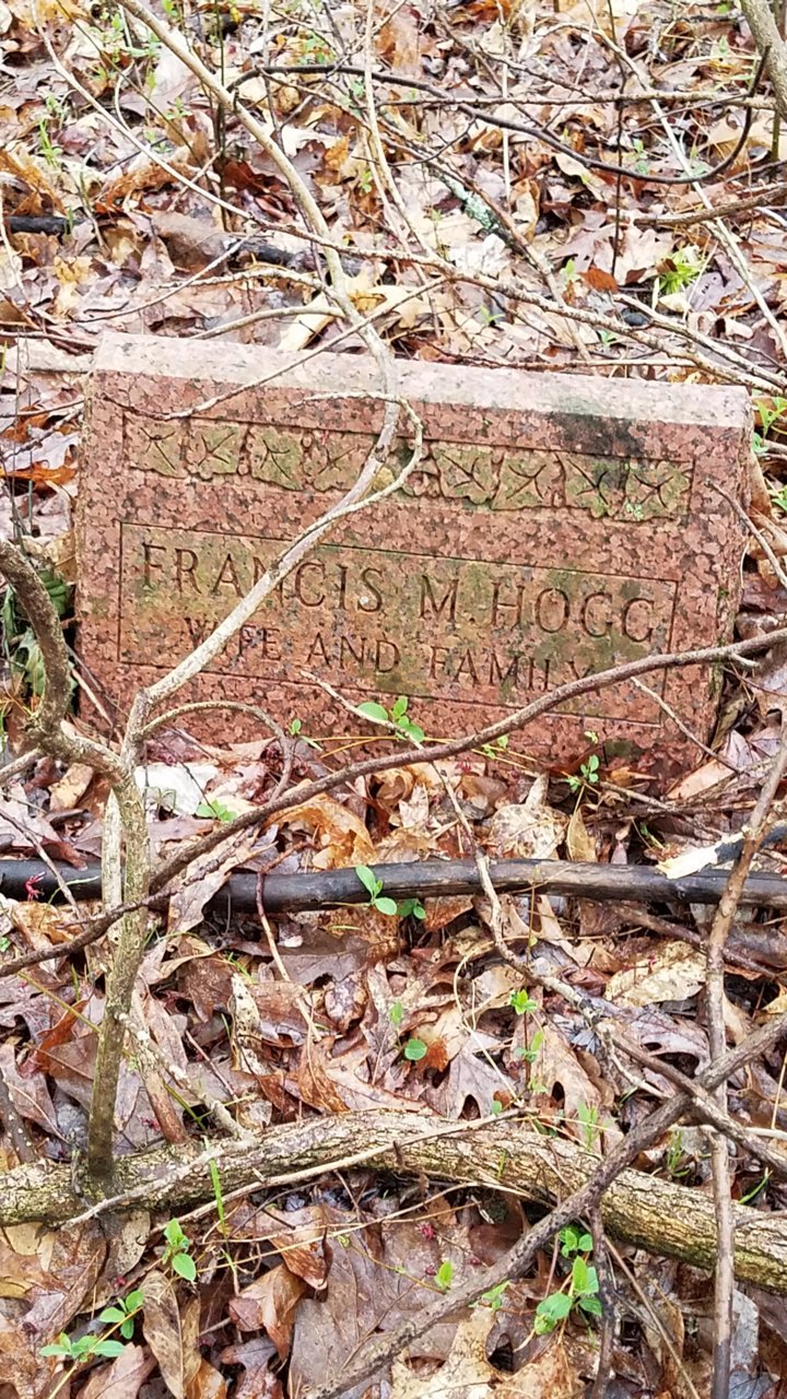 20190329_182710.jpg