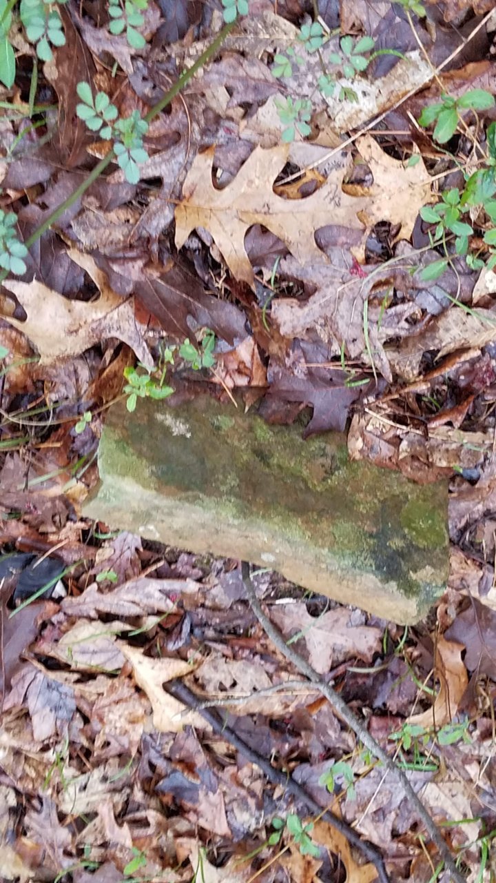 20190329_182731.jpg