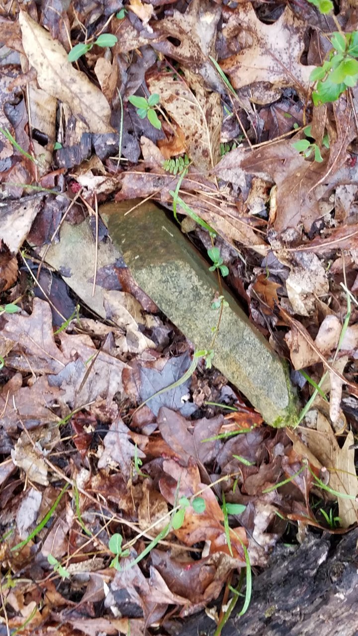 20190329_182738.jpg