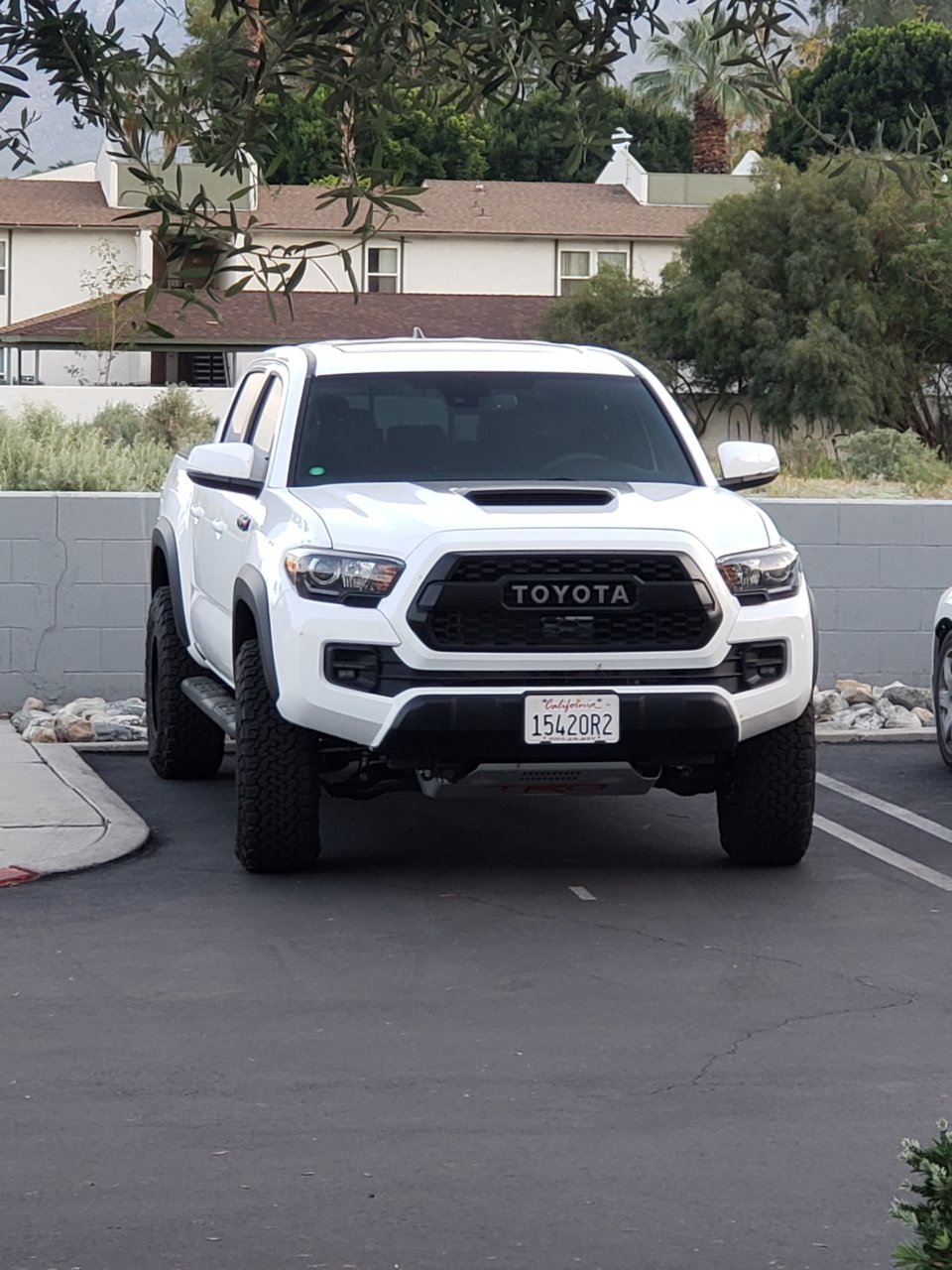 20190329_185144.jpg