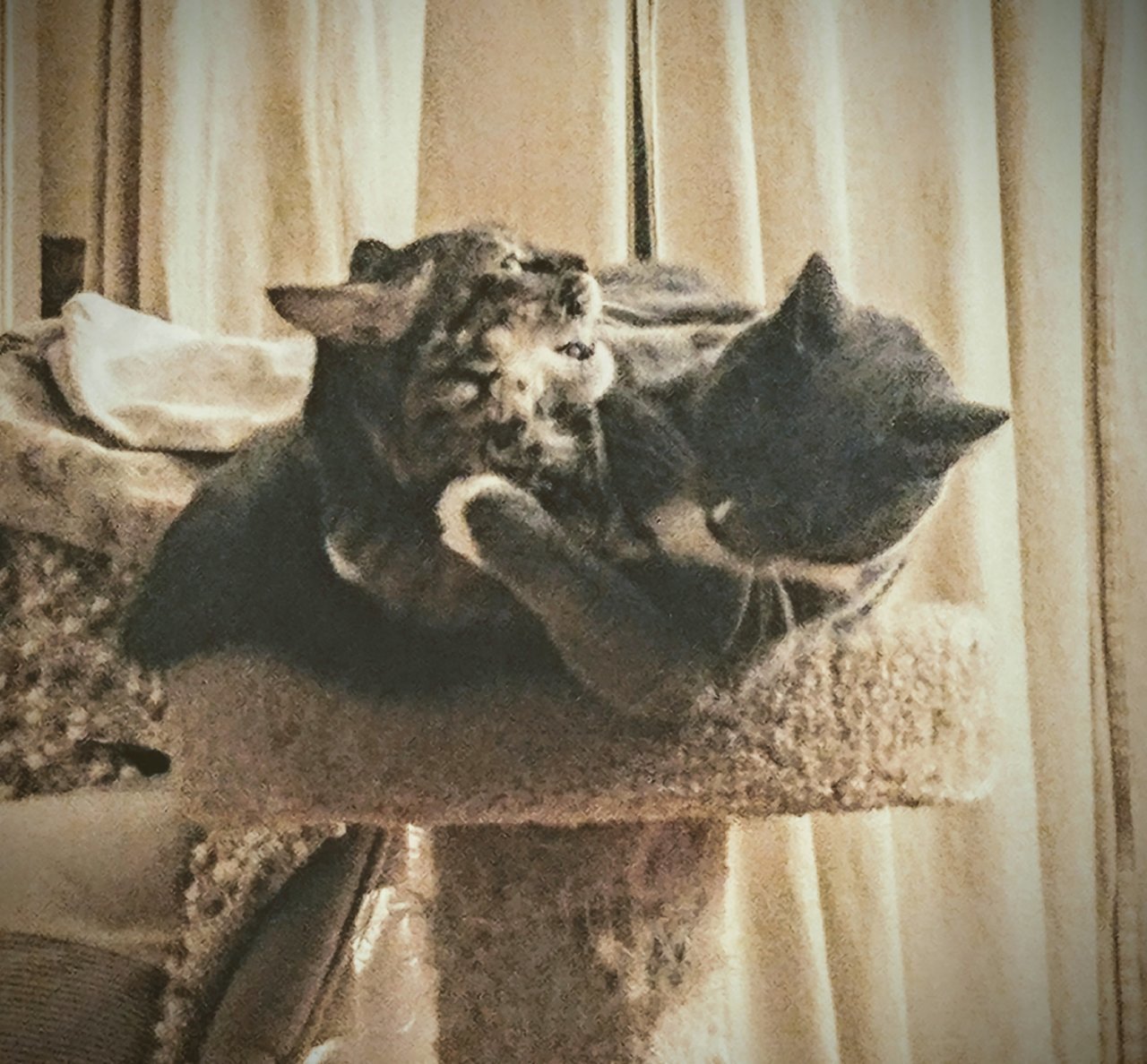 20190330_000222~2.jpg