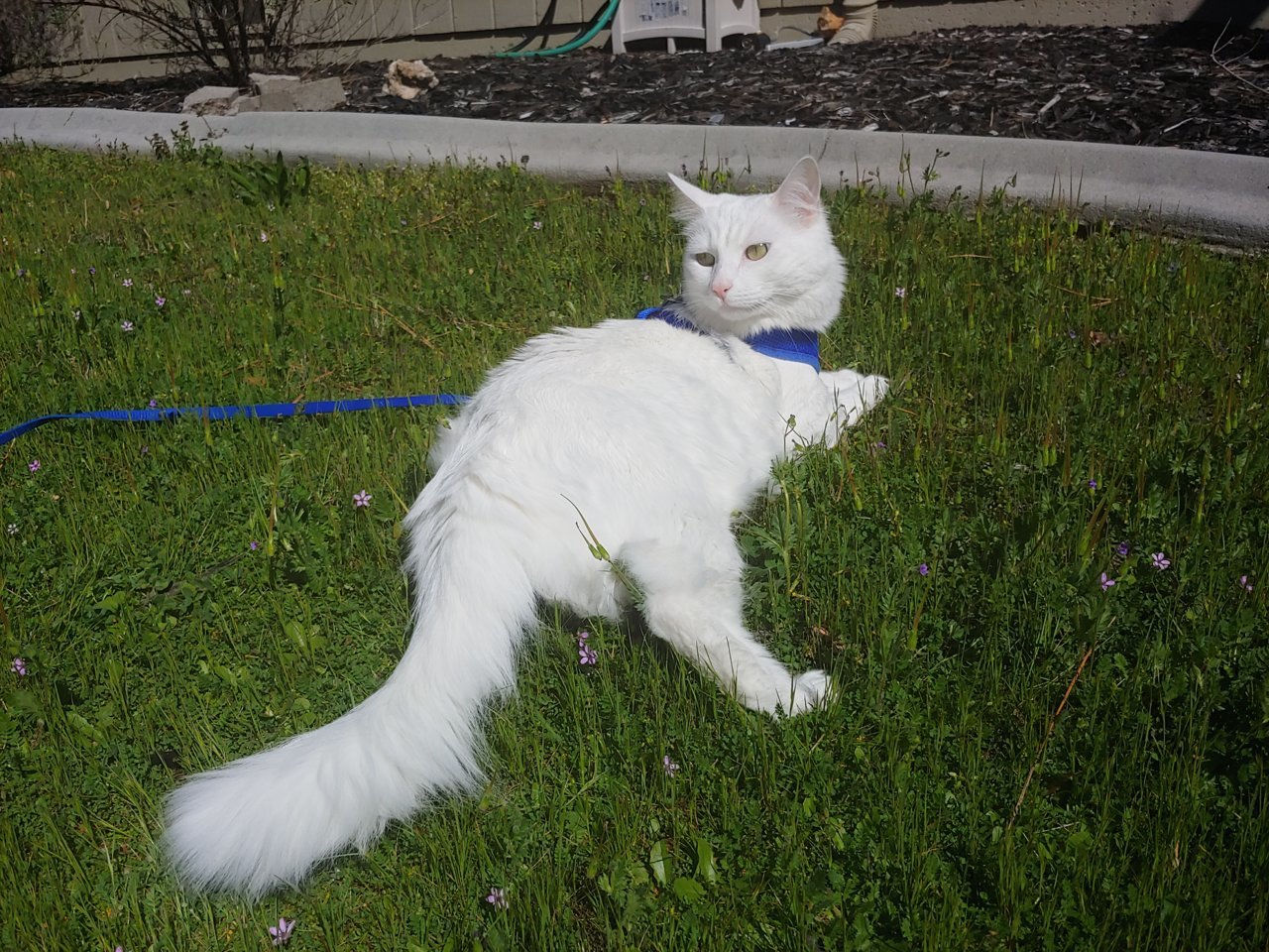 20190330_105955_HDR.jpg
