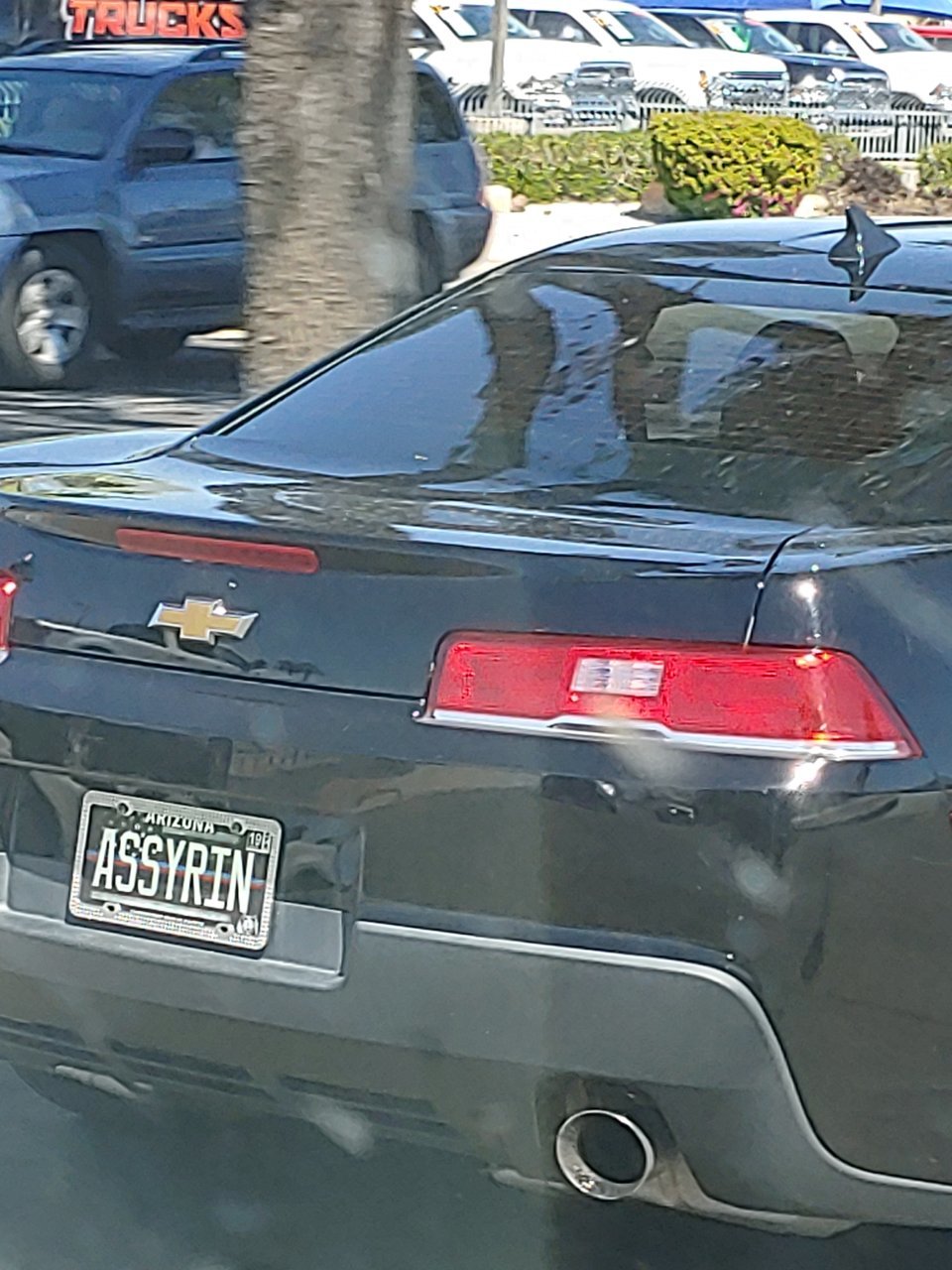 20190330_133746_HDR.jpg