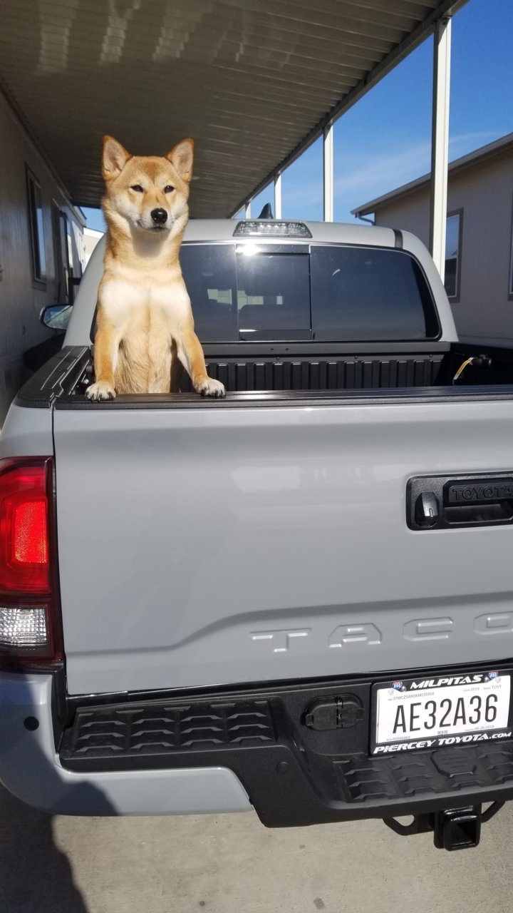 20190330_171437.jpg