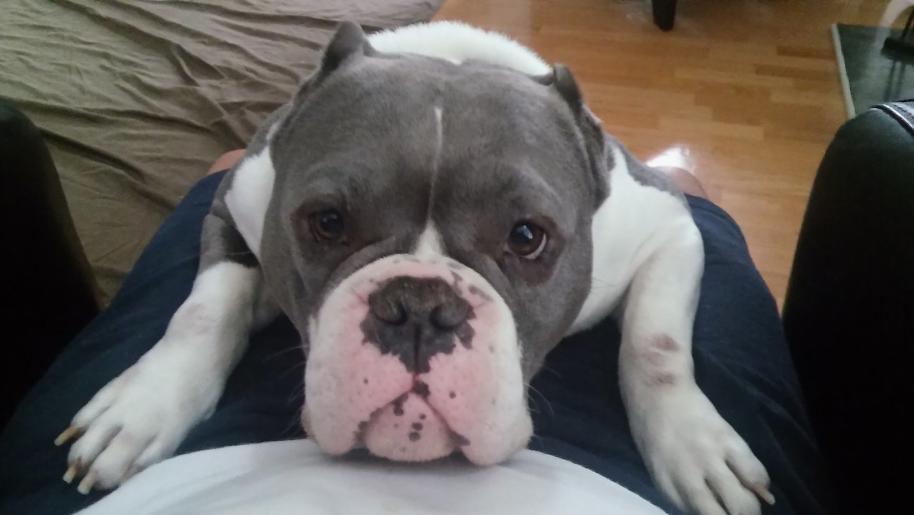 20190331_080444.jpg