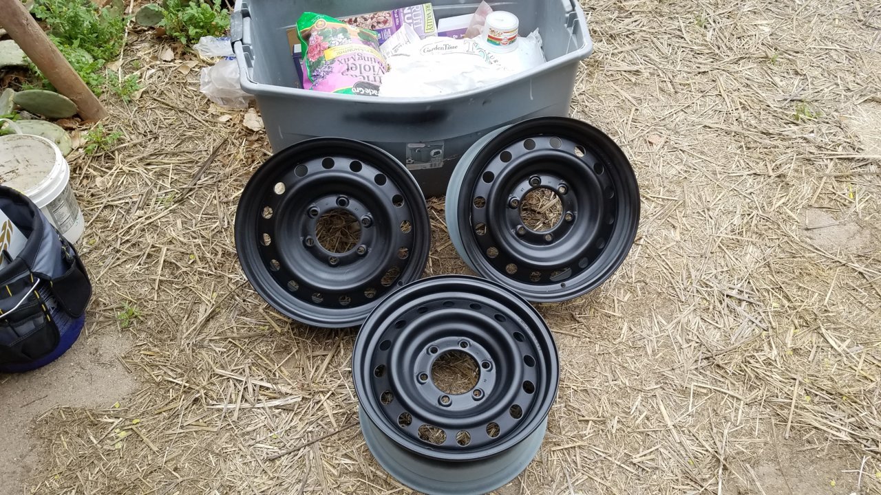 20190331_141647.jpg