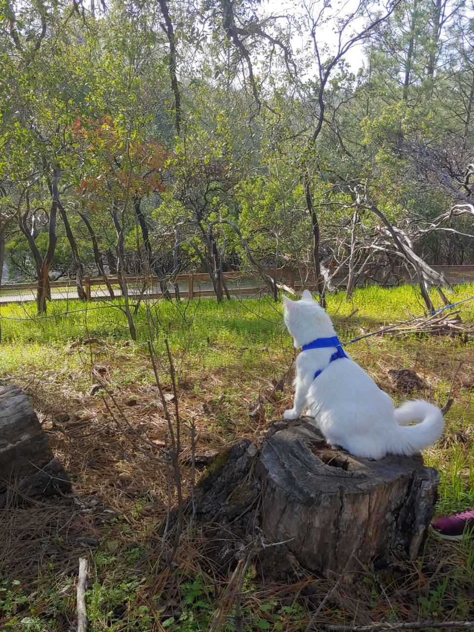 20190331_172242_HDR.jpg