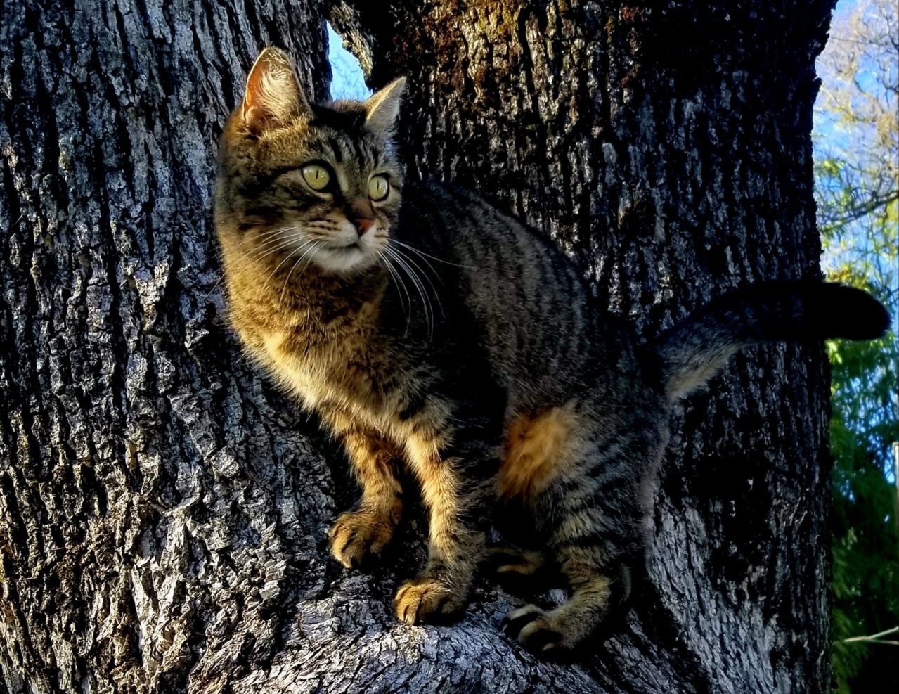 20190331_174123.jpg