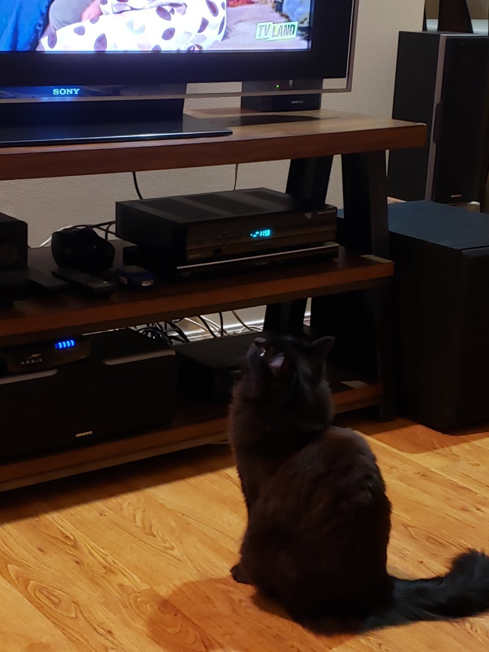 20190331_235018.jpg