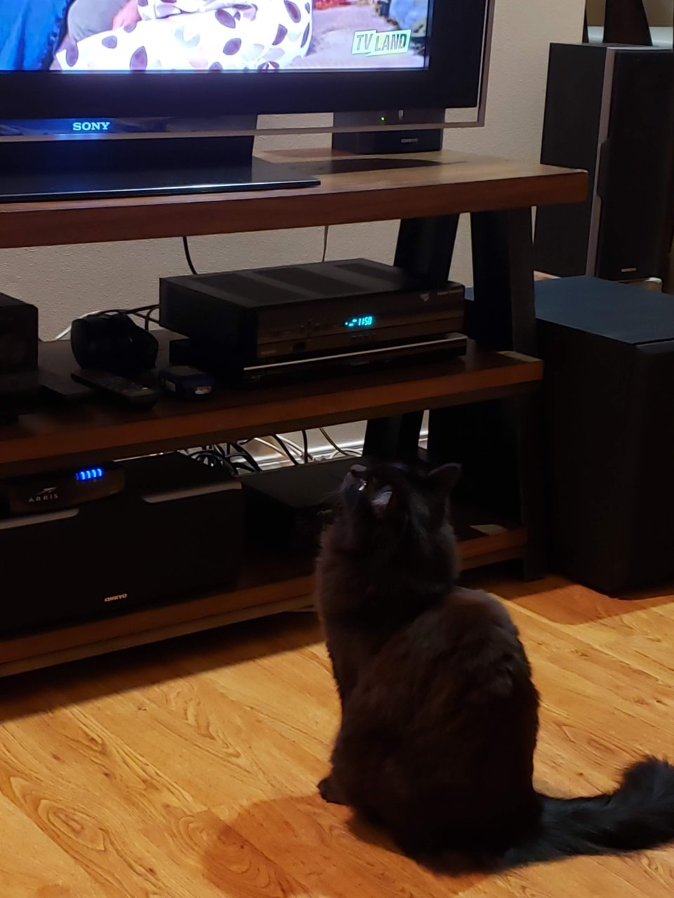 20190331_235018.jpg