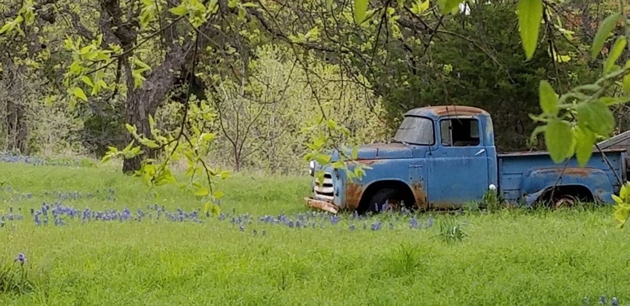 20190401_091314.jpg