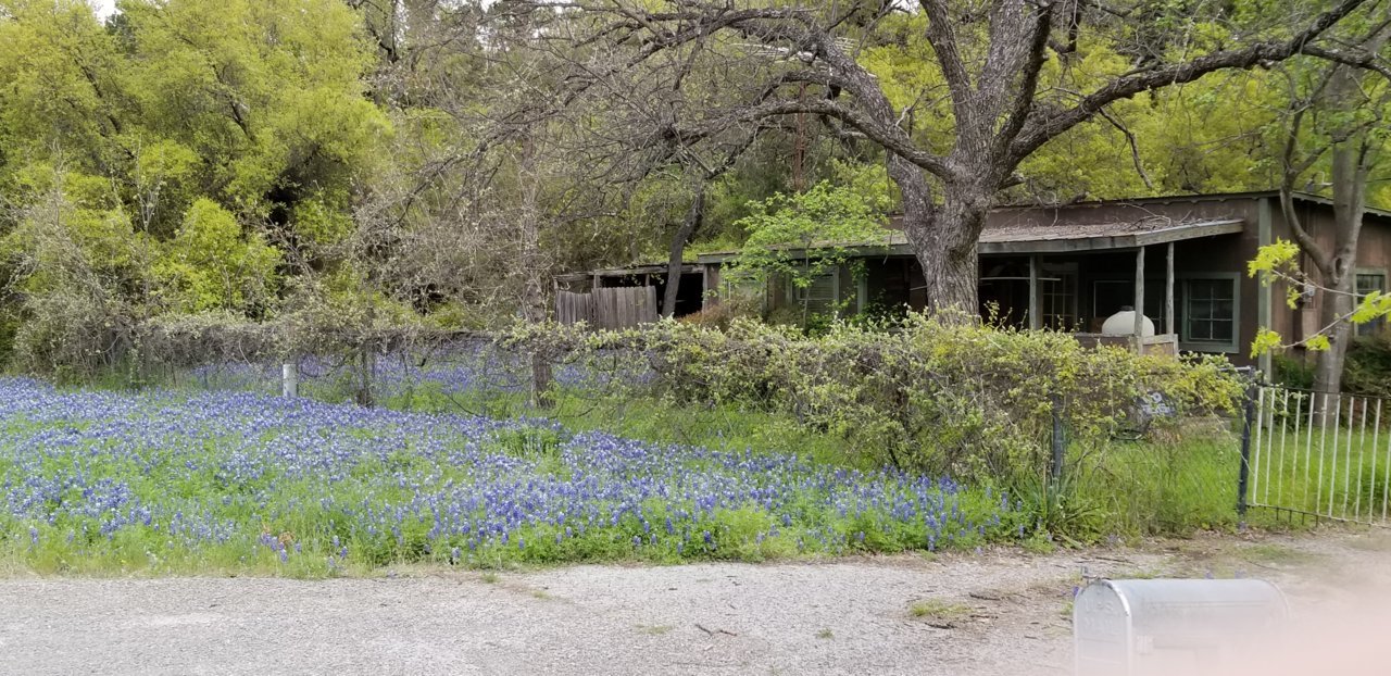 20190401_091344.jpg