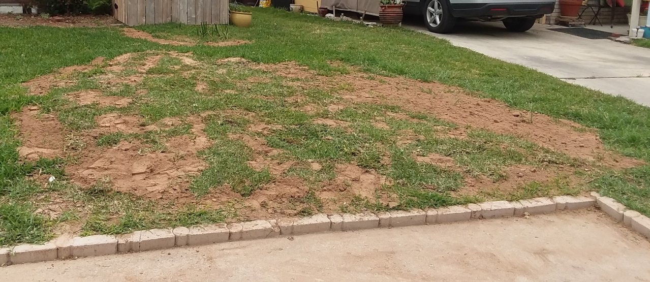 20190401_122825.jpg