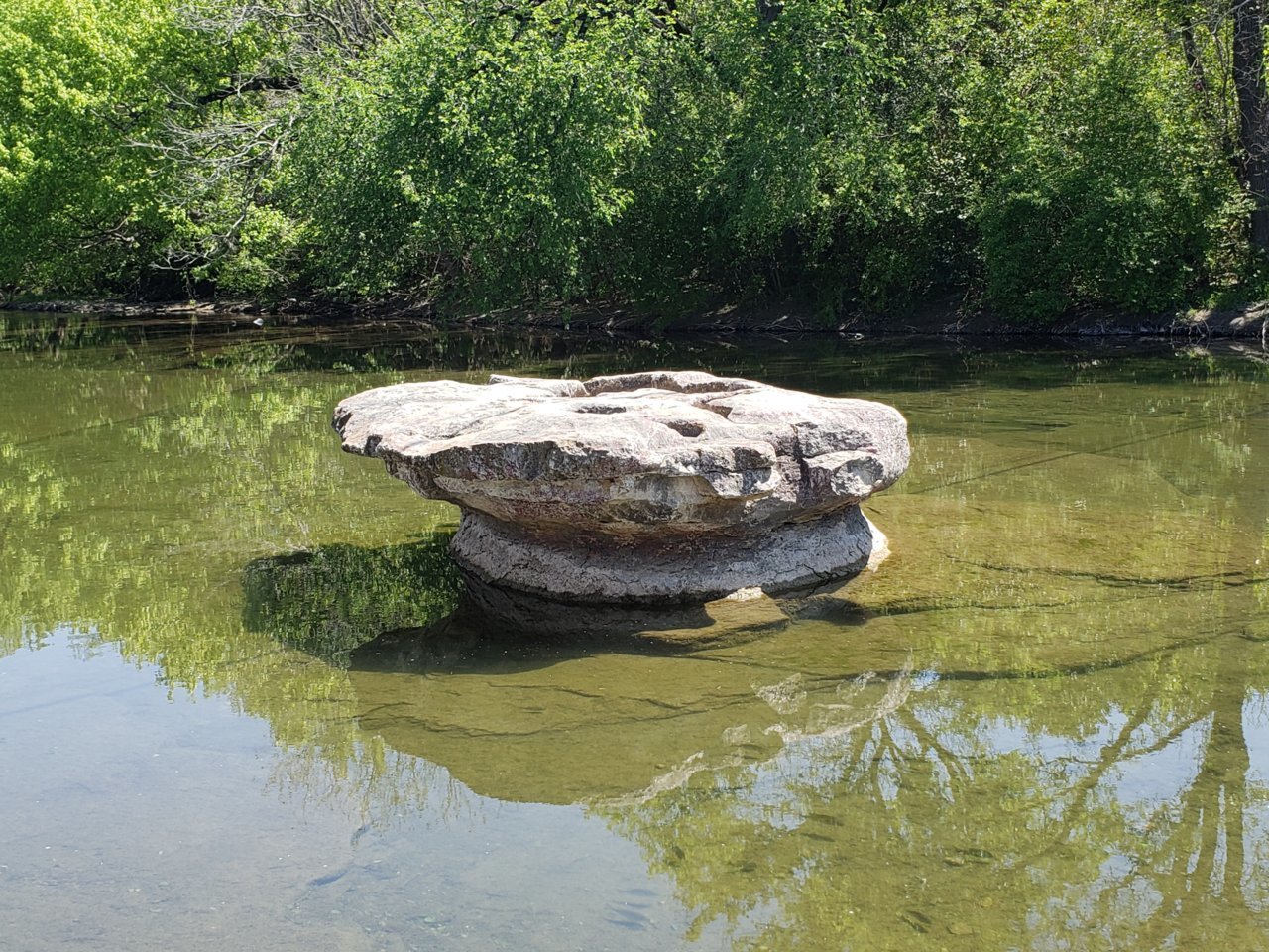 20190401_140614.jpg