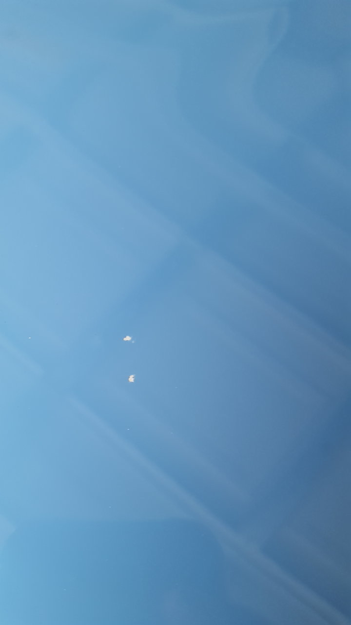 20190401_143127.jpg