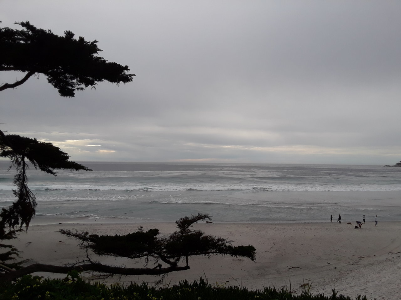 20190401_164344.jpg