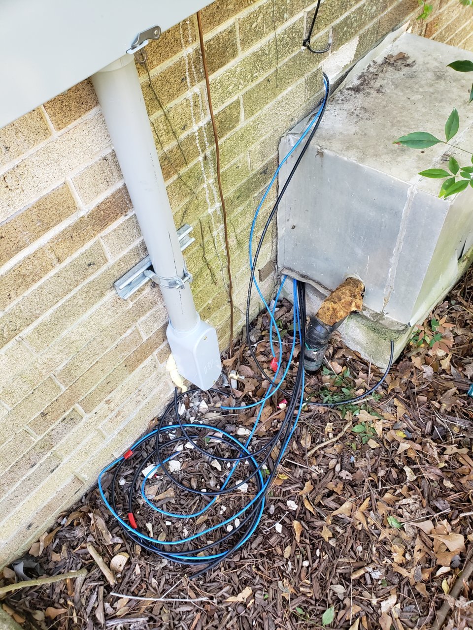 20190401_165628.jpg