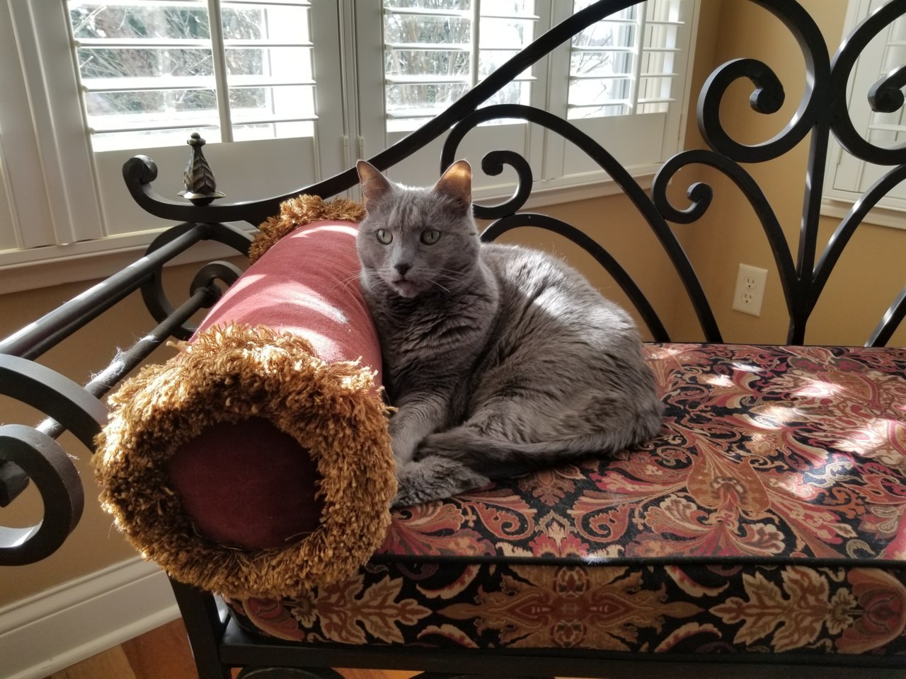 20190401_170326.jpg