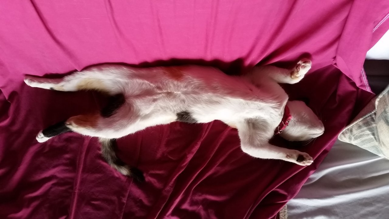 20190402_133834.jpg