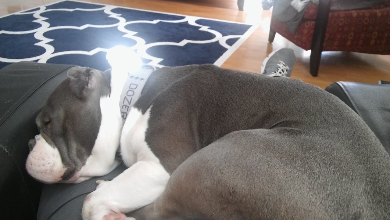 20190402_153158.jpg