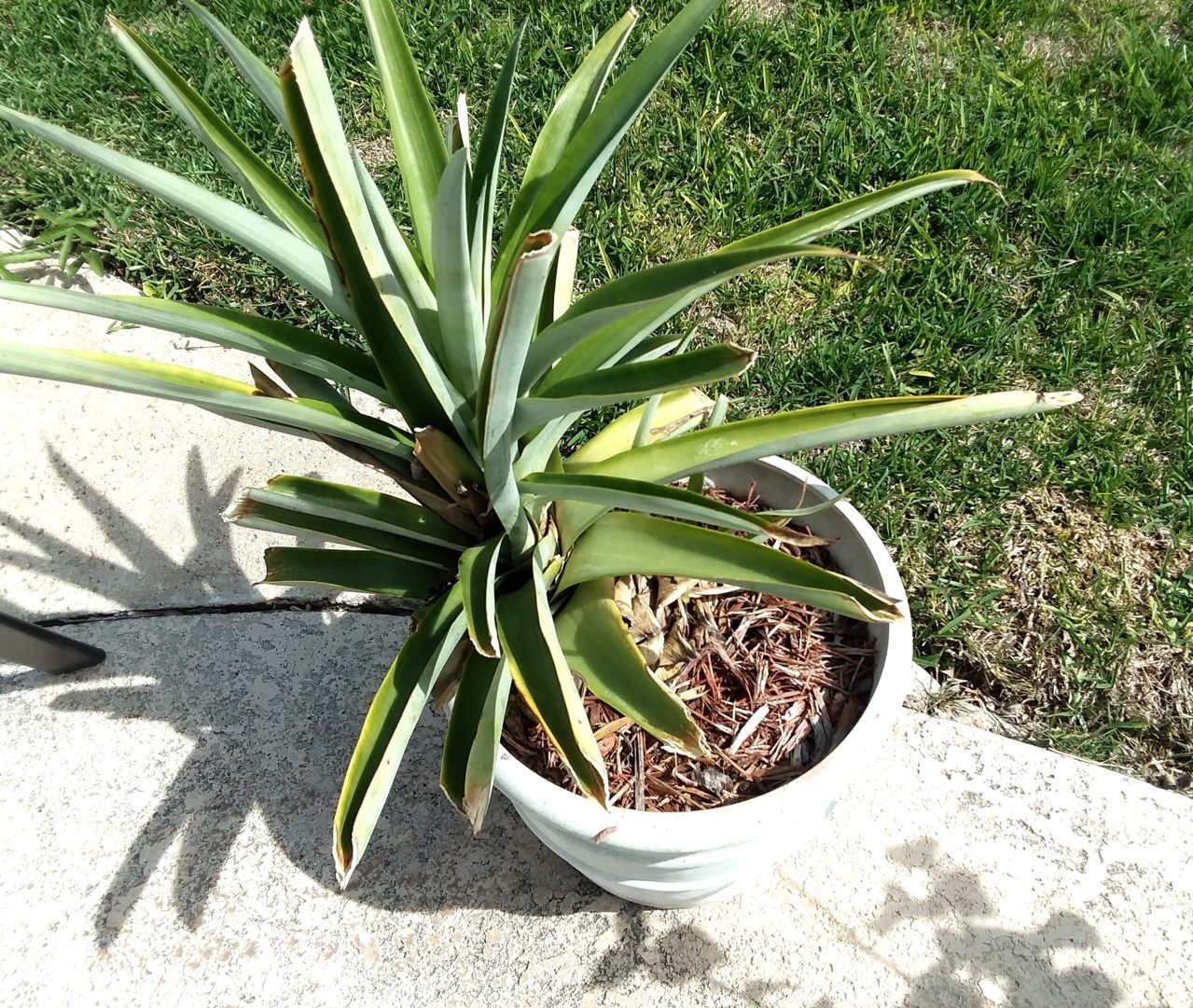 20190402_153811.jpg