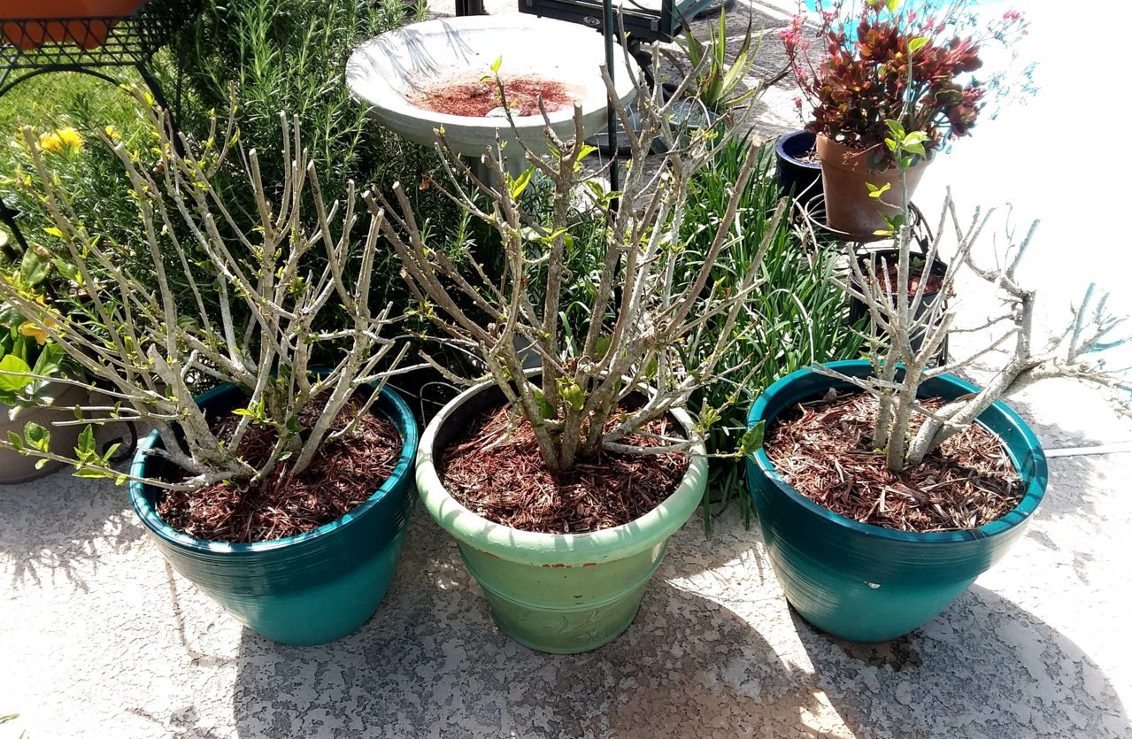 20190402_153834.jpg