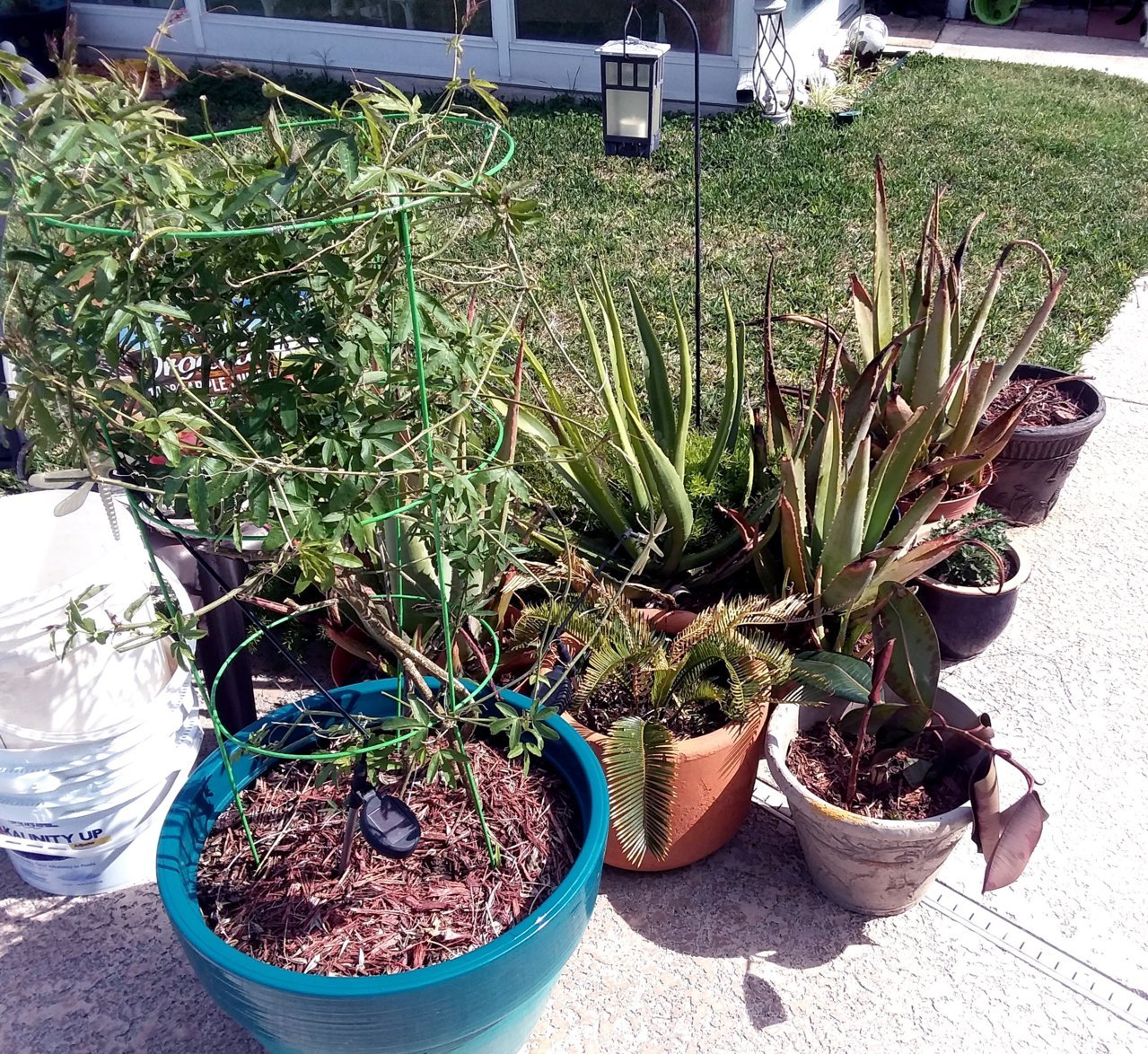 20190402_160511.jpg