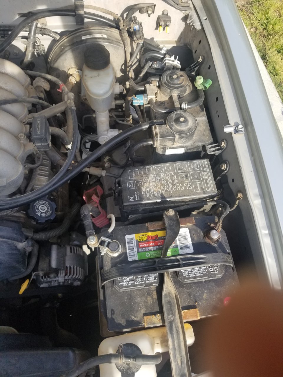 20190402_174529.jpg