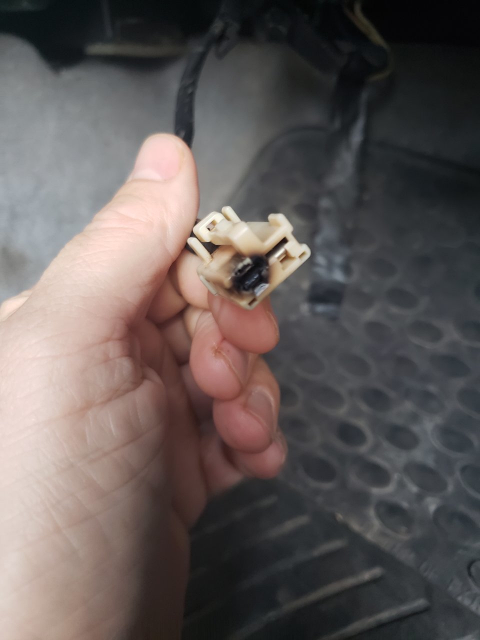 20190402_191150.jpg