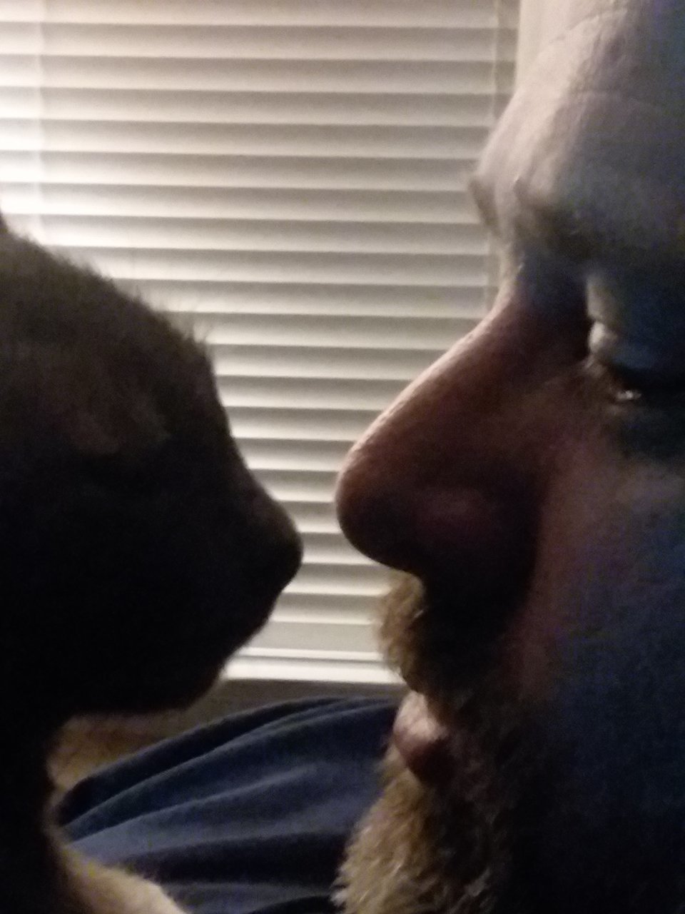 20190402_195642.jpg