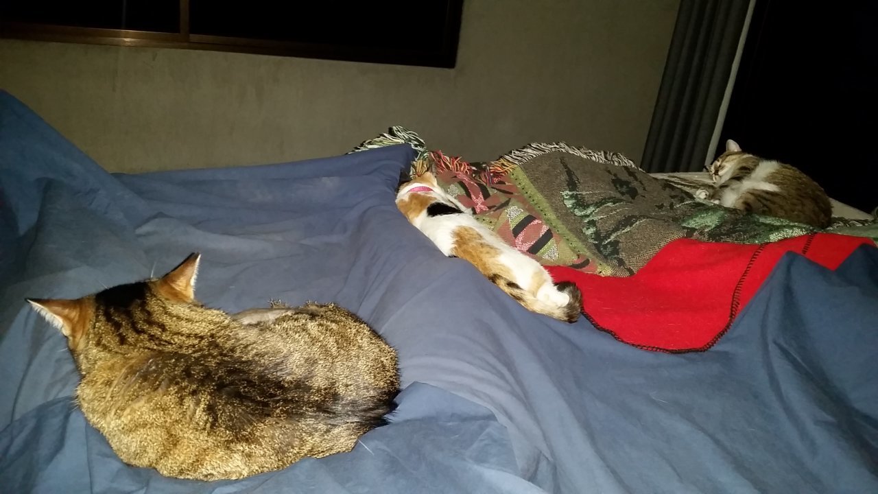 20190402_222320.jpg