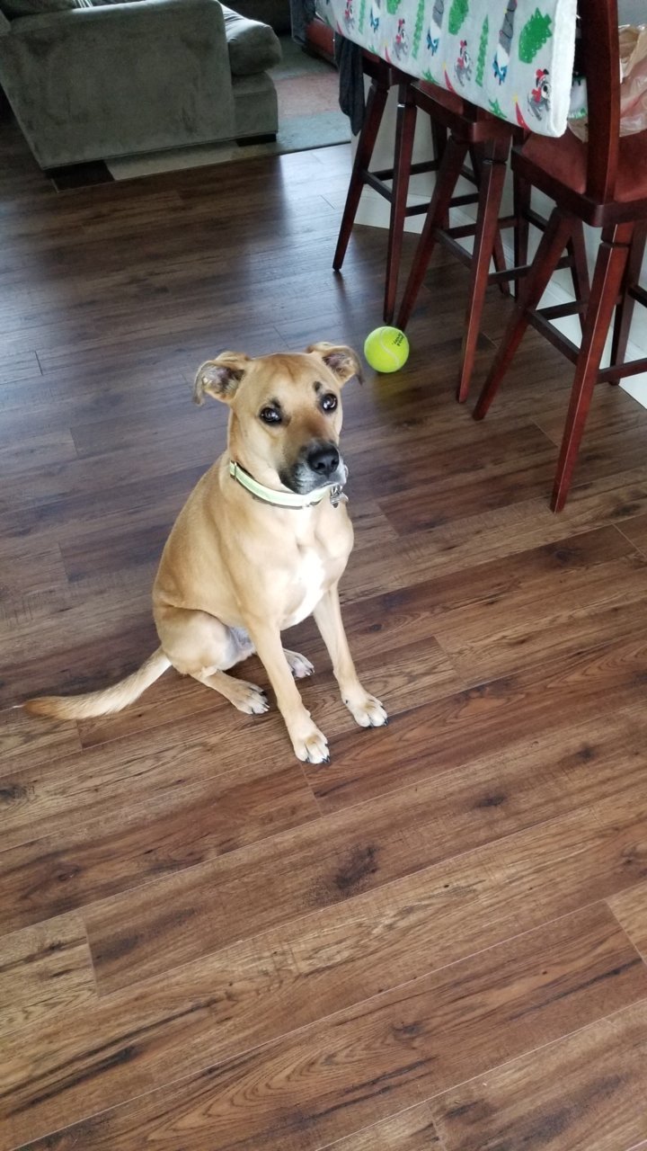 20190403_074717.jpg
