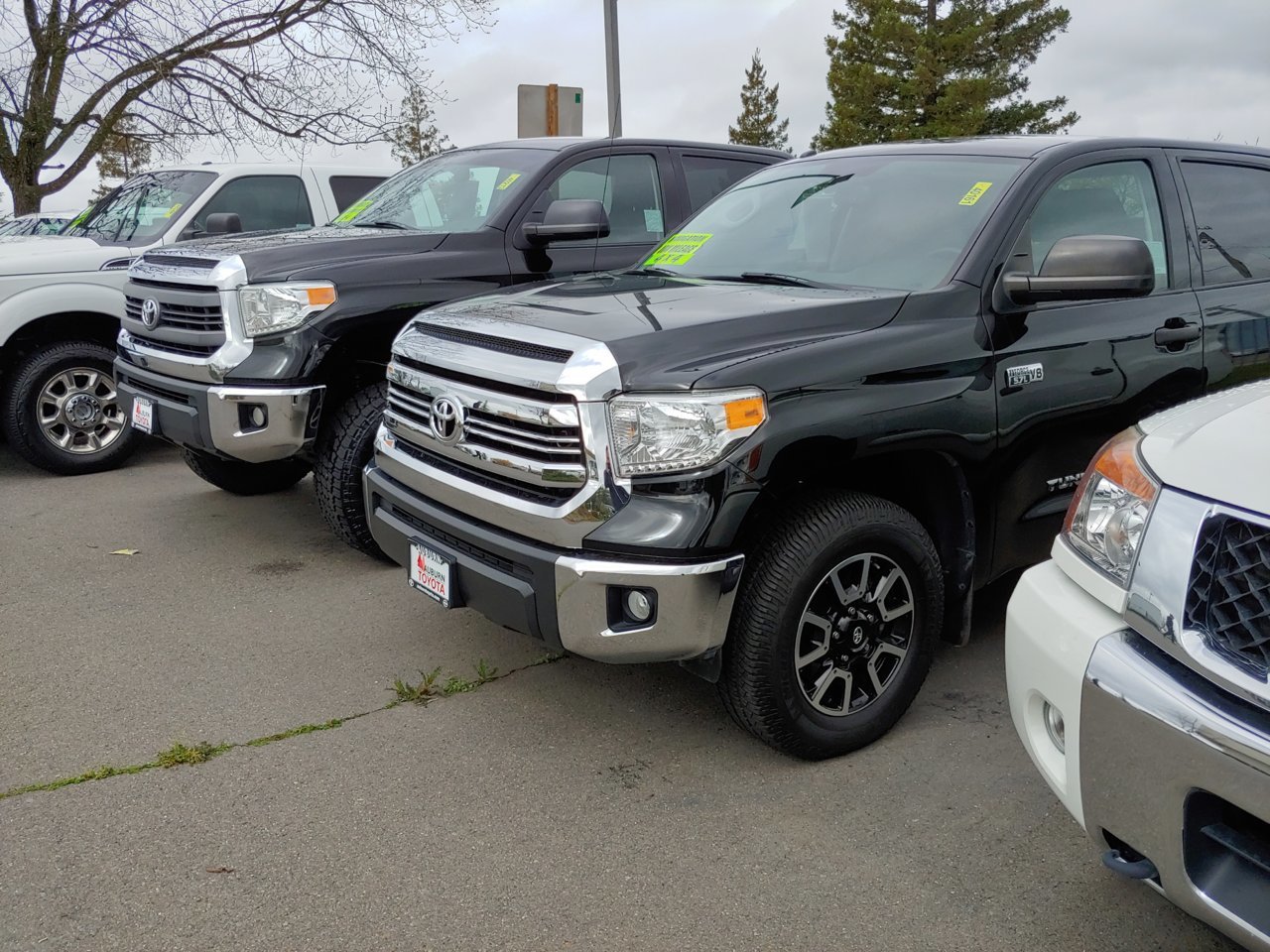 20190403_100830_HDR.jpg