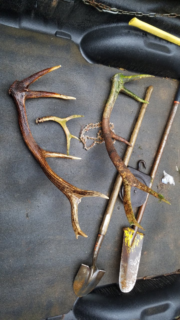 20190403_102917.jpg